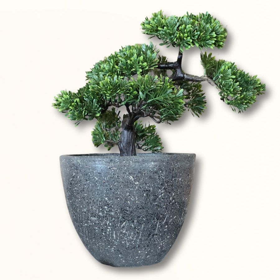 Vases & Planters