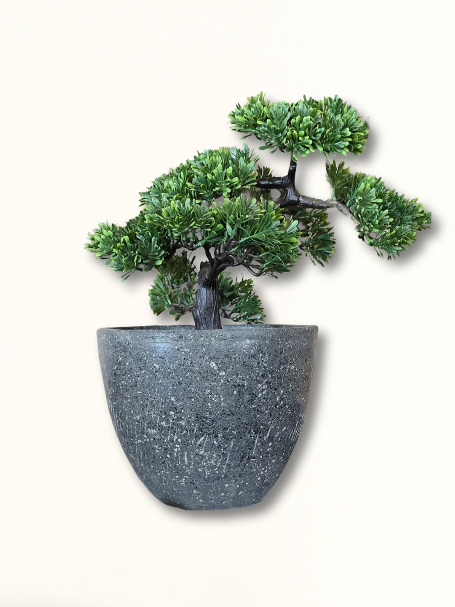 Vases & Planters